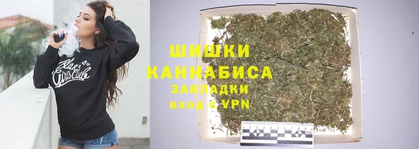 дживик Арсеньев