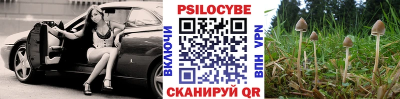 Галлюциногенные грибы Psilocybe  купить наркотик  Можайск 